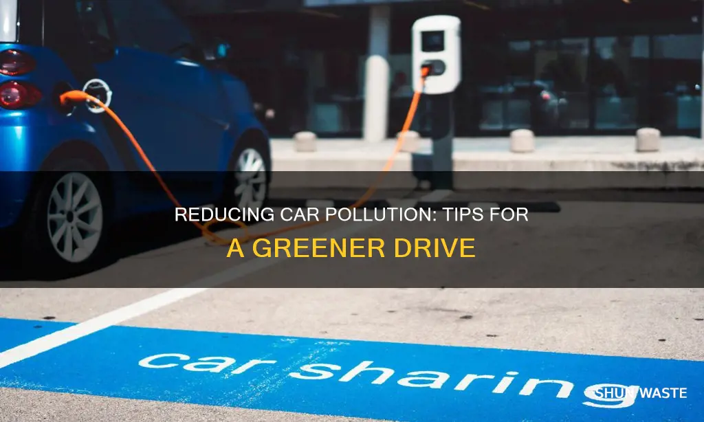 how can i reduce car pollution