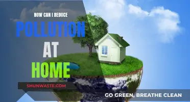 Reducing Pollution: Simple Home Changes for a Cleaner Environment