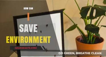 Sustainable Living: Simple Steps to Protect and Save Our Environment