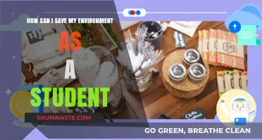 Eco-Friendly Student Tips: Simple Ways to Protect Our Planet