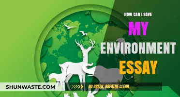 Sustainable Steps: Crafting an Essay to Protect Our Environment