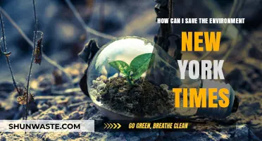 Sustainable Living: New York Times Tips to Save Our Environment