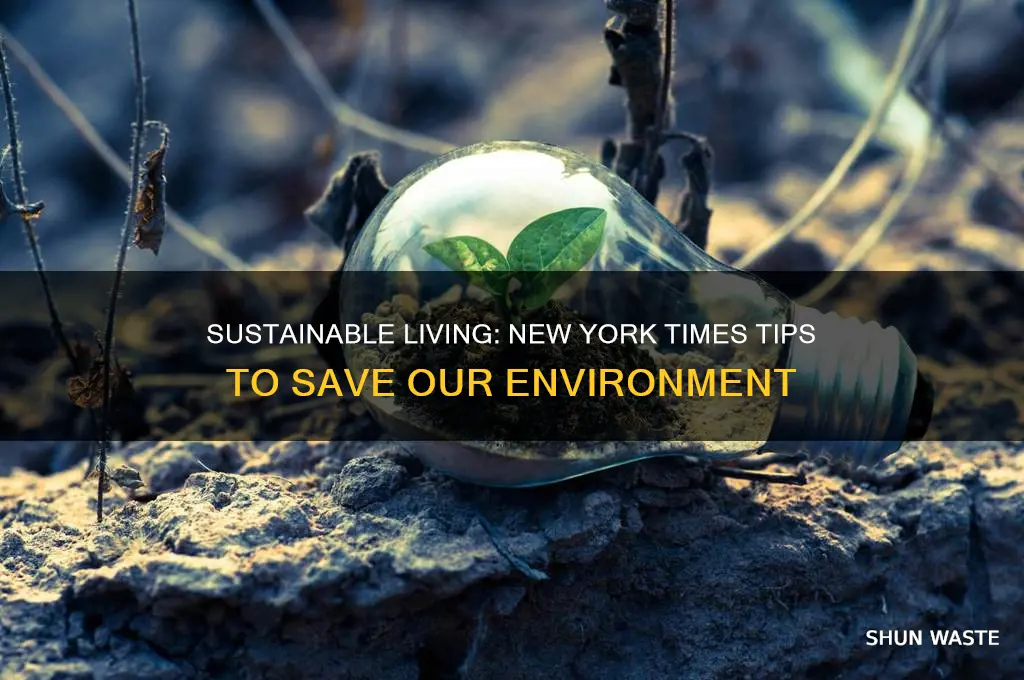 how can i save the environment new york times