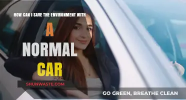 Eco-Friendly Driving: Simple Tips to Save the Environment with Your Car