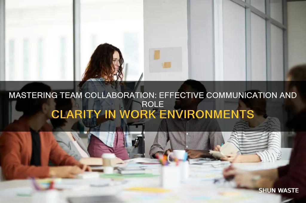 how can i say works in team environment