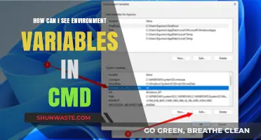 Viewing Environment Variables in CMD: A Quick and Easy Guide