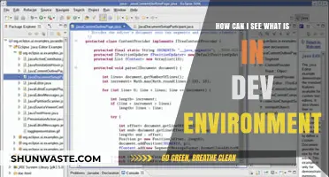Exploring Your Dev Environment: Tools and Techniques to View Its Contents