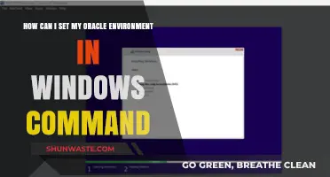 Setting Up Oracle Environment in Windows Command Prompt: A Step-by-Step Guide