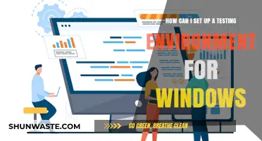 Setting Up a Windows Testing Environment: A Comprehensive Step-by-Step Guide