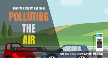 Reducing Vehicle Emissions: Strategies for Cleaner Air