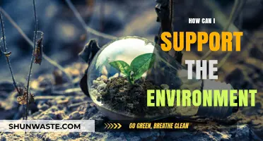 Sustainable Living: Simple Steps to Protect and Preserve Our Planet