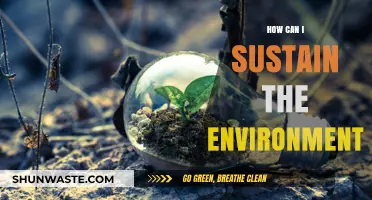Sustainable Living: Simple Steps to Protect and Preserve Our Environment