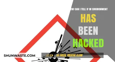 Detecting a Hacked Environment: Signs and Immediate Actions to Take
