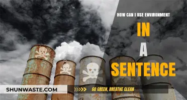 Mastering Environmental Usage: Crafting Perfect Sentences with Ease