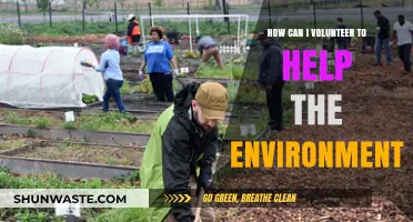Volunteer for a Greener Future: Environmental Opportunities to Make a Difference