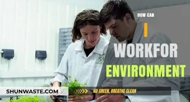 Sustainable Careers: How to Work for the Environment and Make an Impact