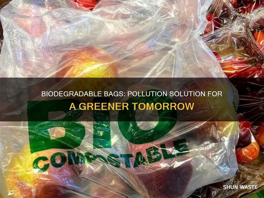 how can implementing biodegradable bags help pollution