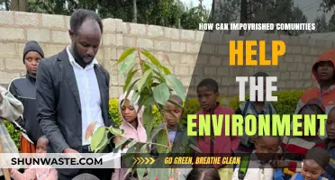 Empowering Impoverished Communities: Sustainable Solutions for Environmental Conservation