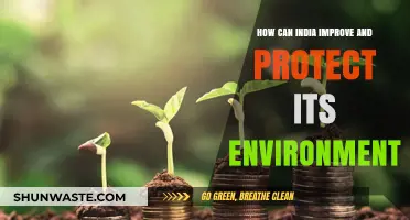 Sustainable Solutions: India's Path to Environmental Protection and Improvement
