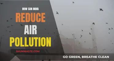 India's Air Pollution: Strategies for a Cleaner Future