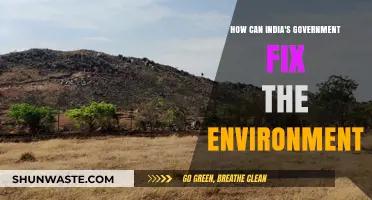 India's Green Revolution: Government Strategies to Restore the Environment