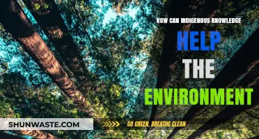 Indigenous Wisdom: Unlocking Sustainable Solutions for Environmental Preservation