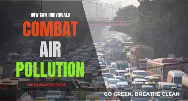 Simple Ways to Fight Air Pollution