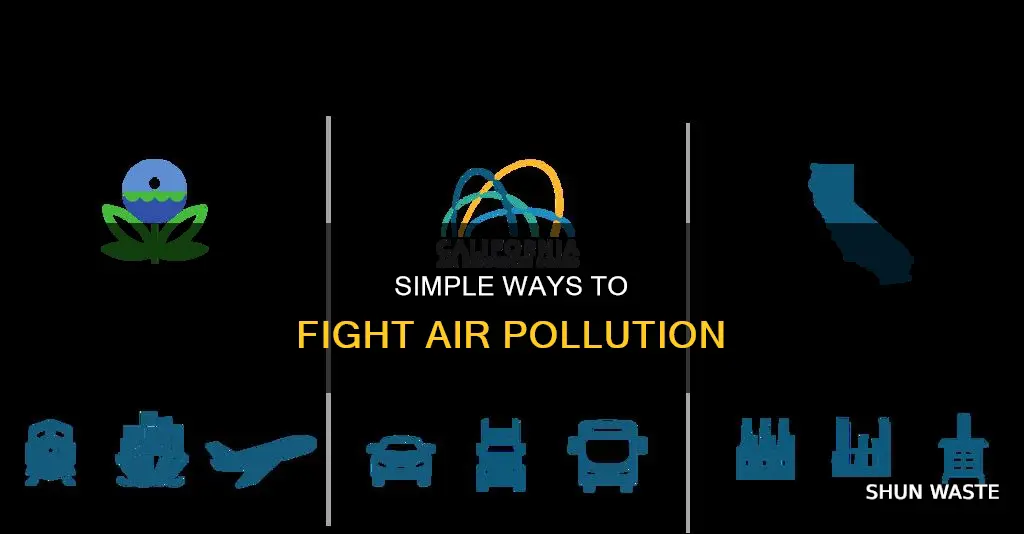 how can individuals combat air pollution