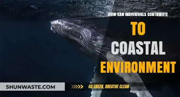 Sustainable Actions: How Individuals Can Protect and Restore Coastal Ecosystems