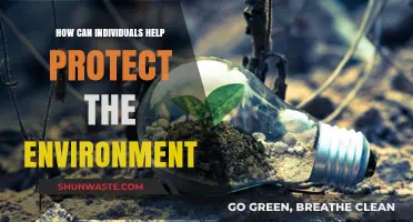 Sustainable Living: Simple Steps to Protect Our Planet Individually