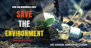 Sustainable Steps: How Individuals Can Protect and Save Our Environment