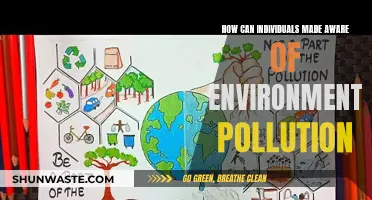 Environmental Pollution Awareness: Educating Individuals for a Greener Tomorrow