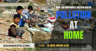 Simple Home Habits to Reduce Water Pollution