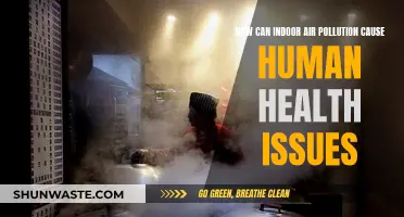 Air Pollution's Health Hazards: The Indoor Story