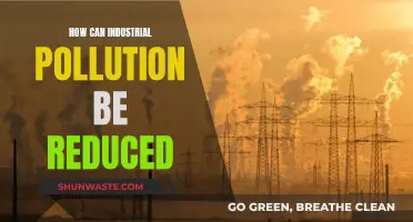 Industrial Pollution: Strategies for Reduction and Control