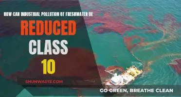 Reducing Industrial Freshwater Pollution: Strategies for Class 10 Students