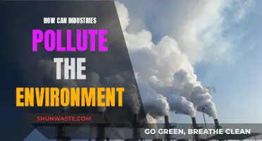 Industries' Environmental Impact: Pollution Sources and Effects