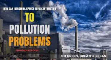 Industries' Role in Reducing Pollution: Strategies and Solutions