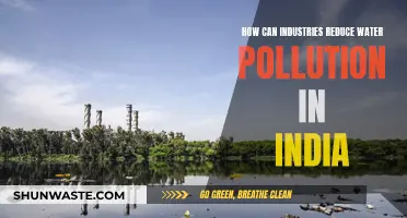 Industries' Role in Reducing Water Pollution in India