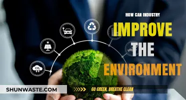 Sustainable Practices: How Industry Can Drive Environmental Improvement