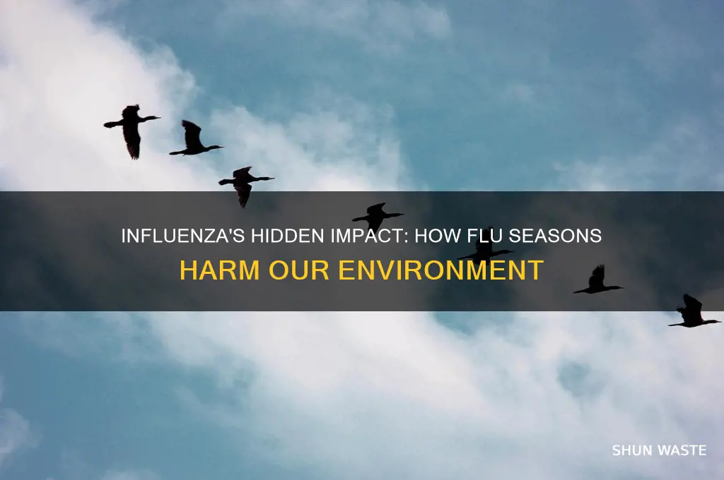 how can influenza be bad for the environment