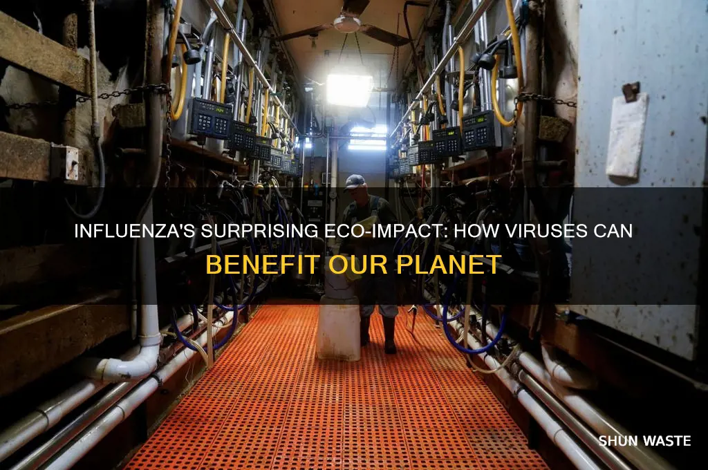 how can influenza be good for the environment