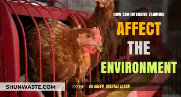 Intensive Farming's Environmental Impact: Challenges and Sustainable Solutions