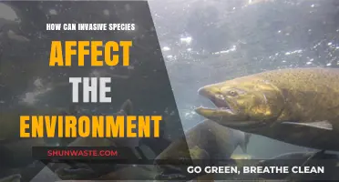 Invasive Species: Environmental Impacts and Ecosystem Disruption Explained