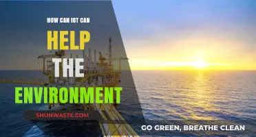 IoT Solutions: Transforming Environmental Sustainability and Conservation Efforts