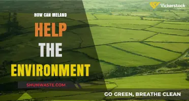 Ireland's Green Revolution: Sustainable Steps to Protect Our Planet