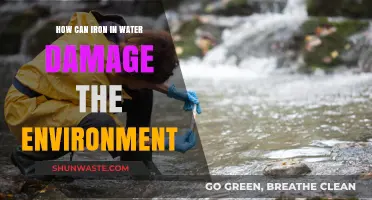 Iron in Water: Environmental Impacts and Ecosystem Threats Explained