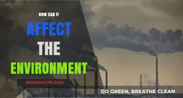 Environmental Impact: How Human Actions Shape Our Planet's Future