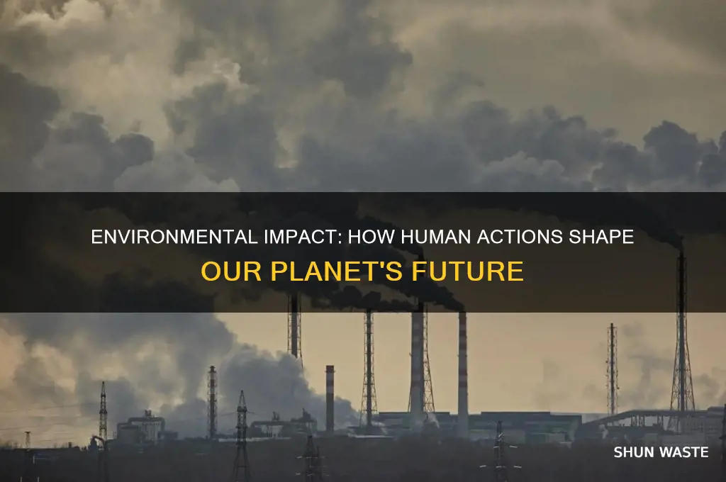 how can it affect the environment