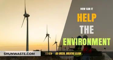 Sustainable Solutions: How Eco-Friendly Practices Can Save Our Environment